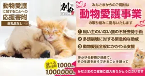 大分県別府市｜別府市が目指す「人と動物が共生できるまち」