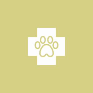 TNR活動