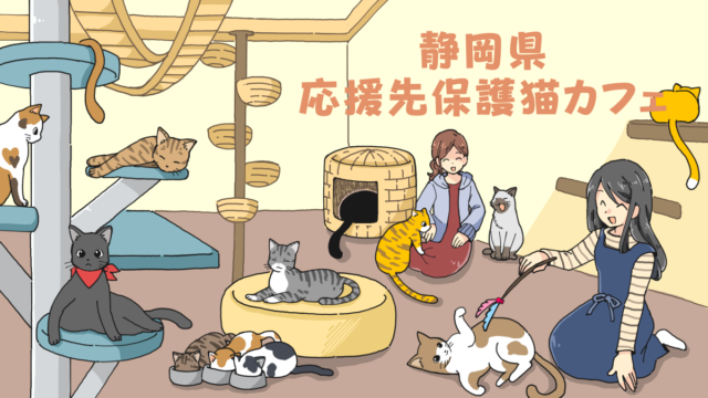 静岡県の応援先保護猫カフェ・保護犬カフェ