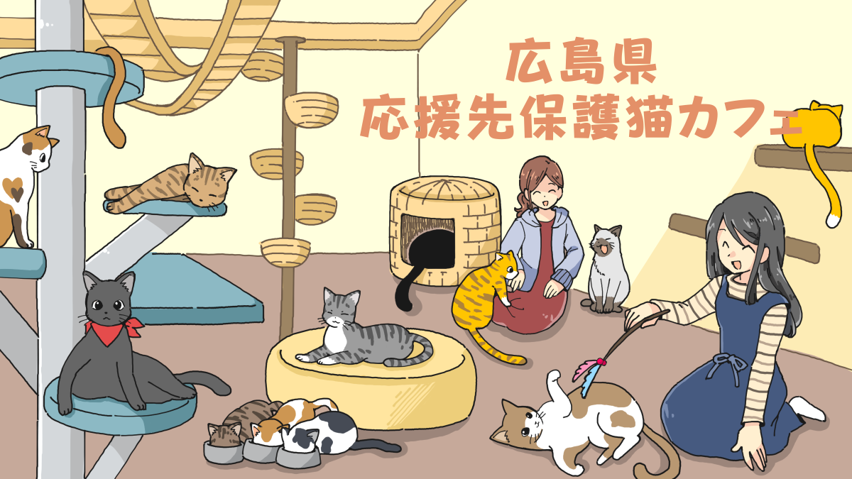 広島県の応援先保護猫カフェ・保護犬カフェ