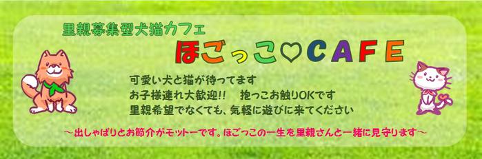 ほごっこCAFE