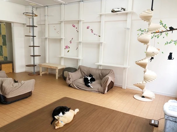 保護猫カフェ velcat 馬車道店