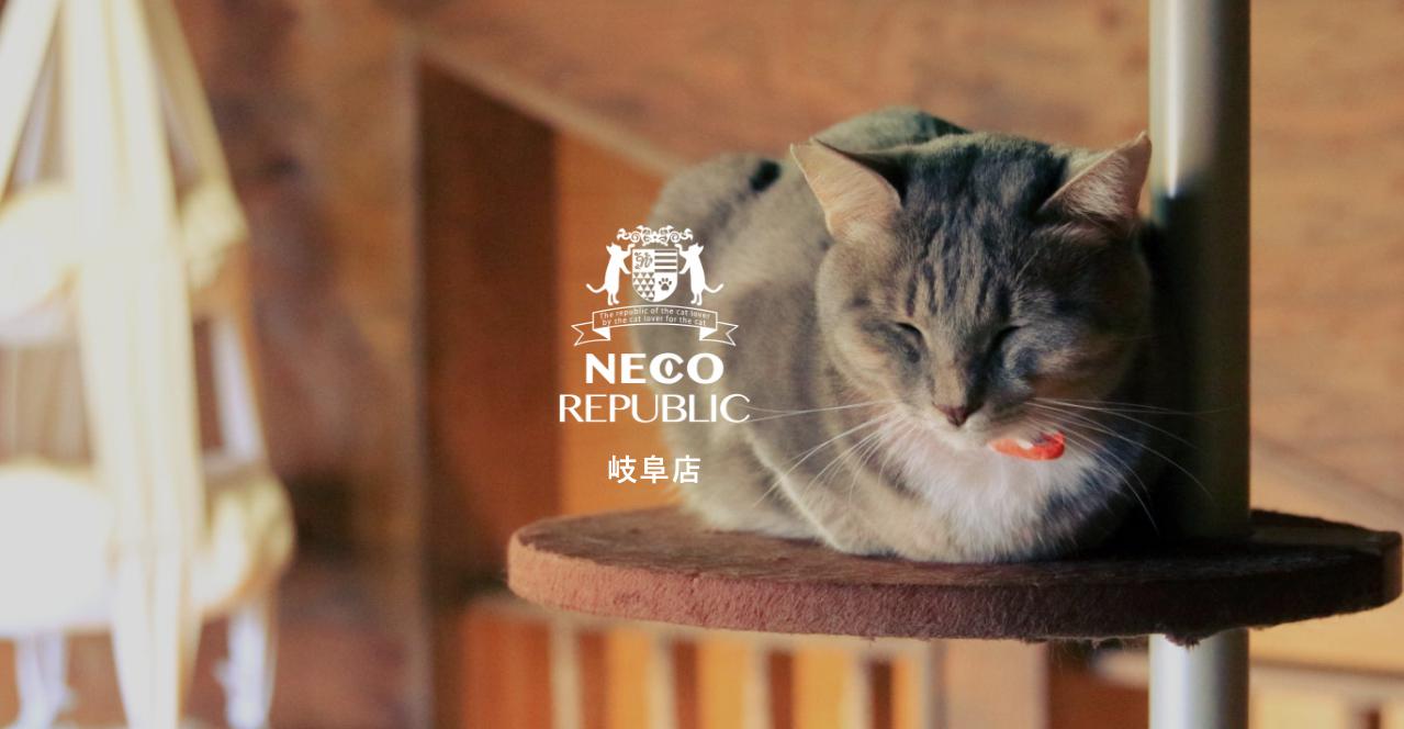 NECO REPUBLIC 岐阜店