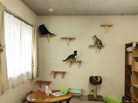 なないろしっぽ