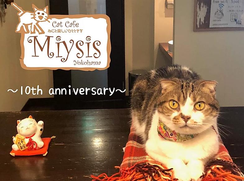 CAT CAFE MIYSIS