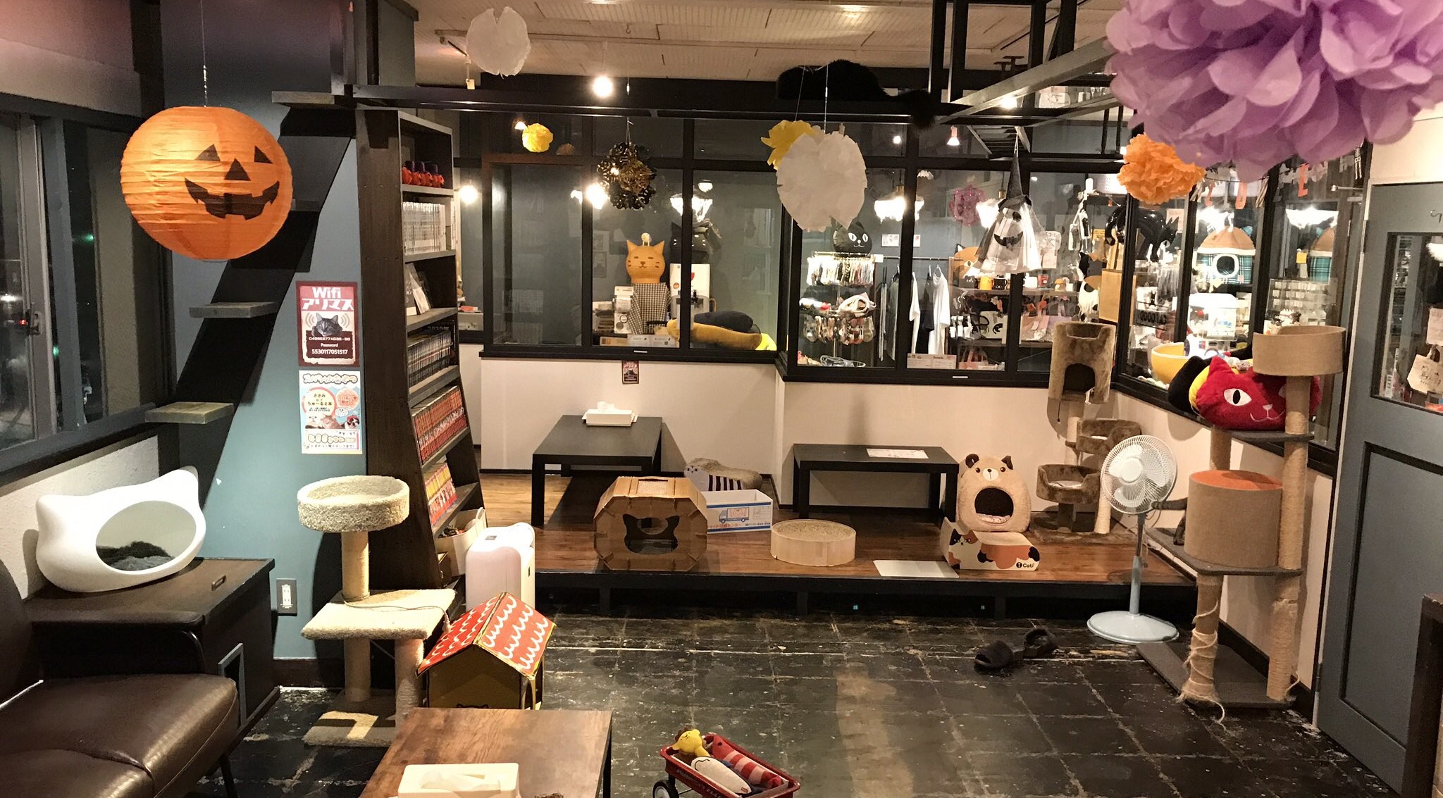 猫まる茶屋沖縄