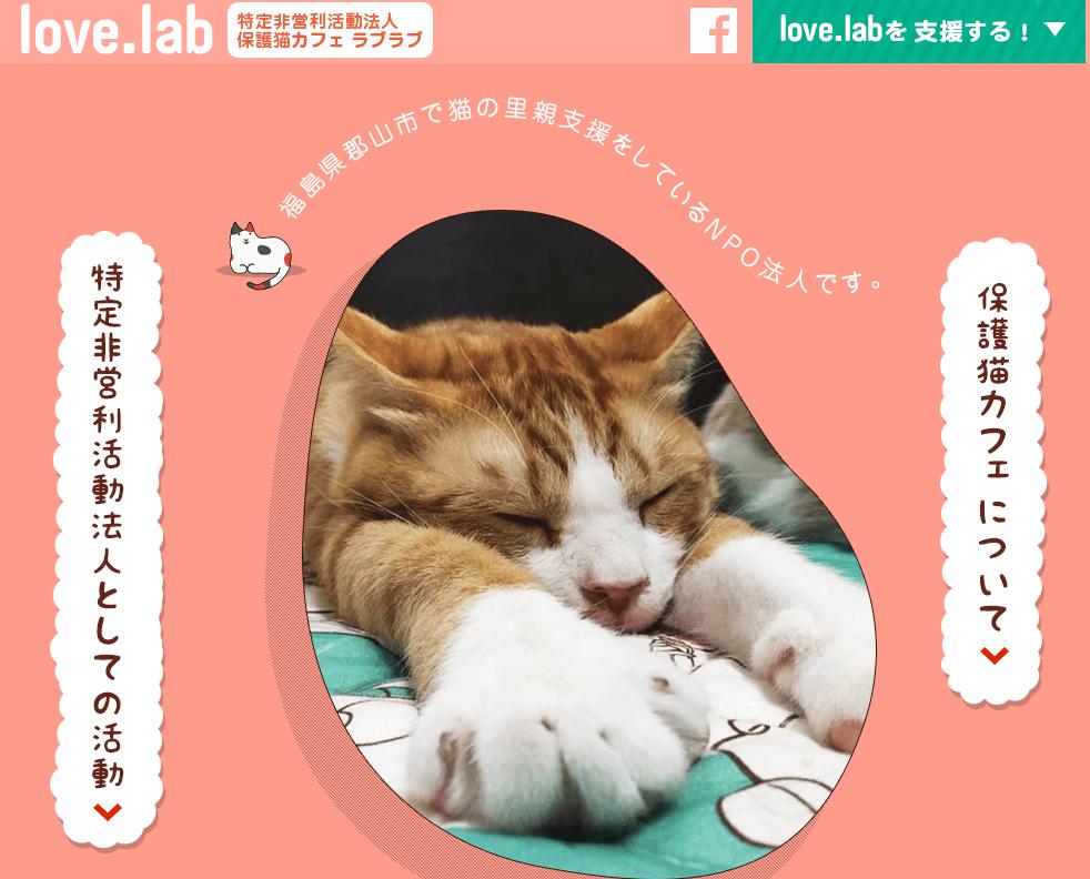 保護猫カフェlove.lab