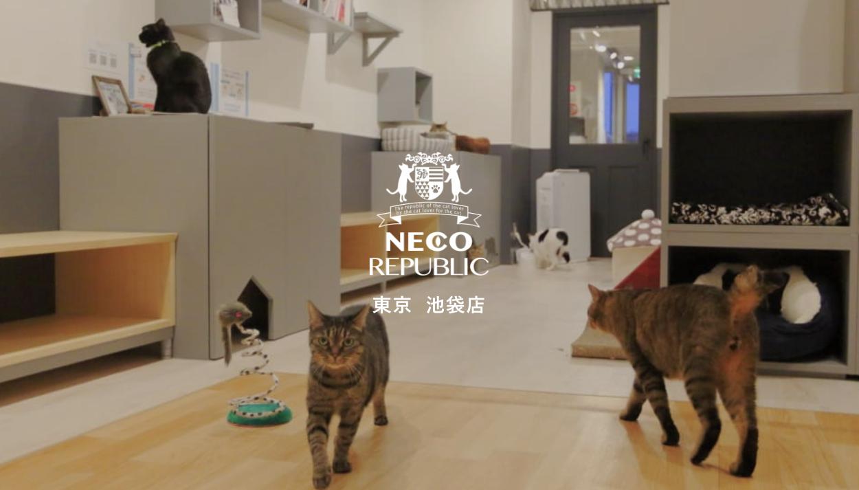 ネコリパブリック 東京池袋店