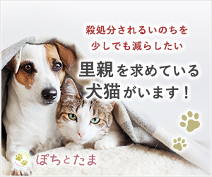 全国の犬猫ペットの里親募集マッチングサイト|ぽちとたま