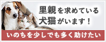 全国の犬猫ペットの里親募集マッチングサイト｜ぽちとたま