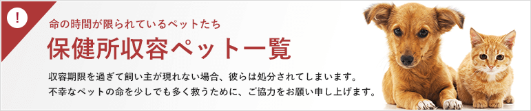 保健所収容ペット一覧 不幸なペットの命を少しでも多く救うために、ご協力をお願い申し上げます。