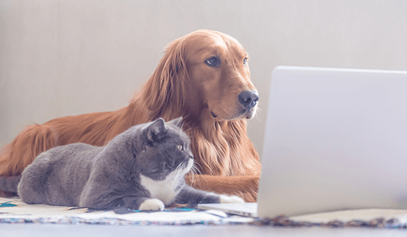 プロフィールの重要さ