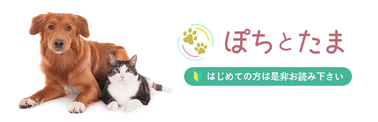 はじめての方へのガイドライン（はじめての方は是非お読み下さい）