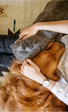 何があっても最後まで共に生きる