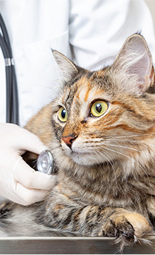 金銭面もチェック