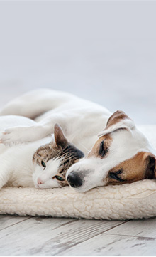 二度と悲しい思いをさせない