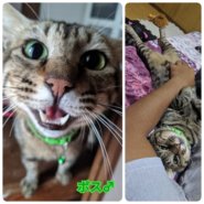 ★おっとり系な男の子★