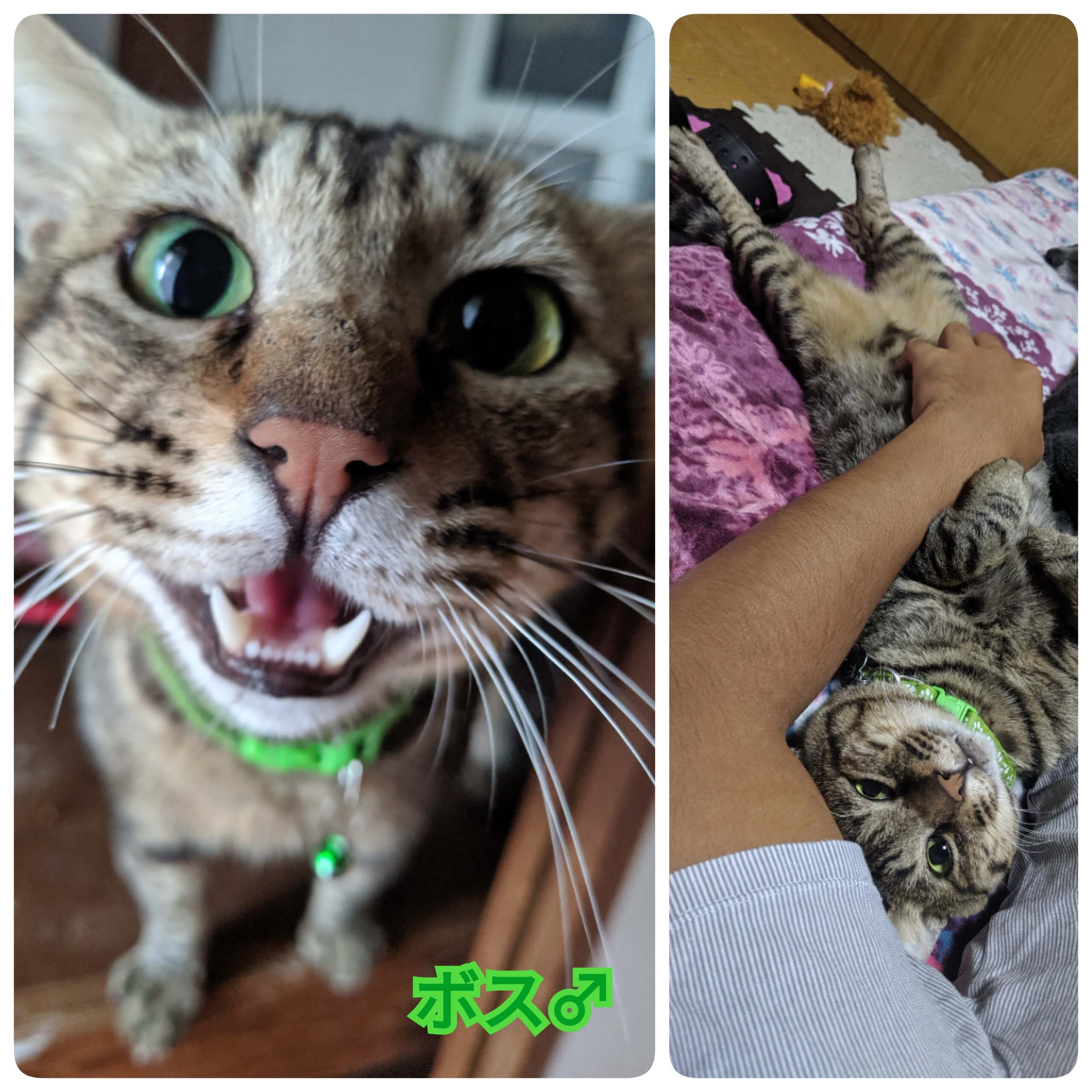 ★おっとり系な男の子★