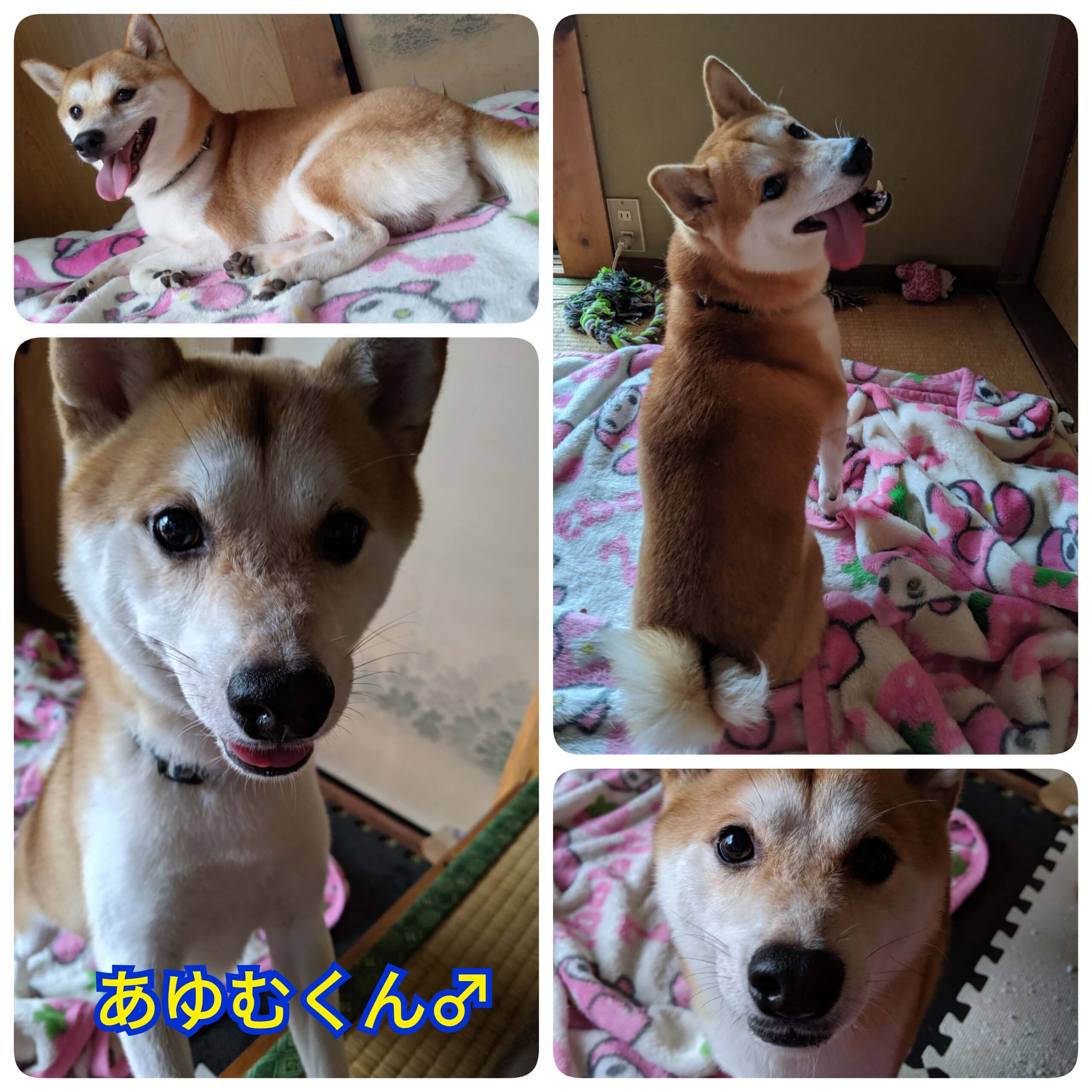 ★人が大好きな男の子★