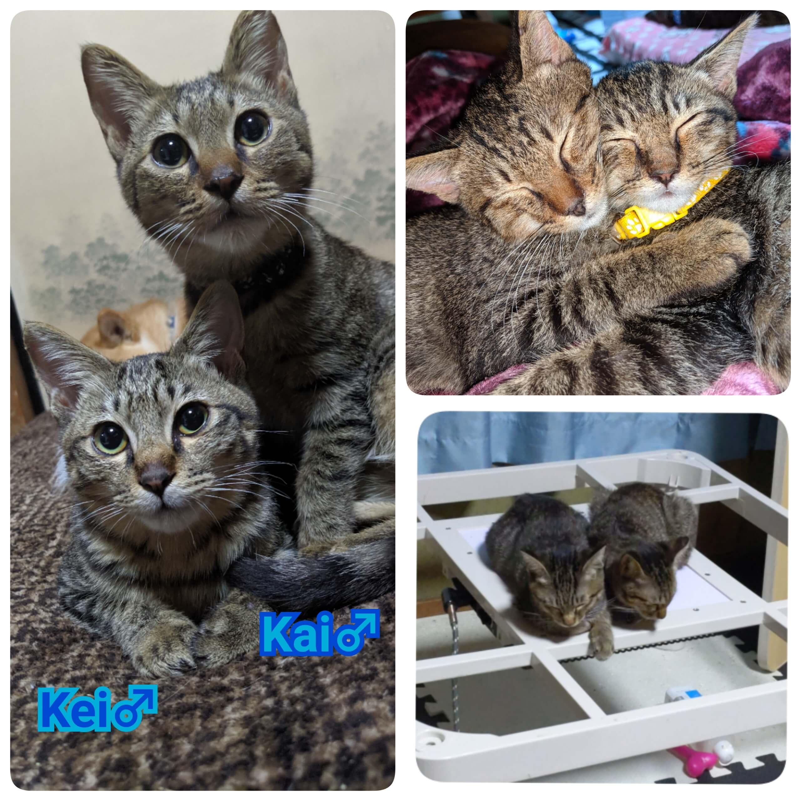 ★仲良し兄弟★