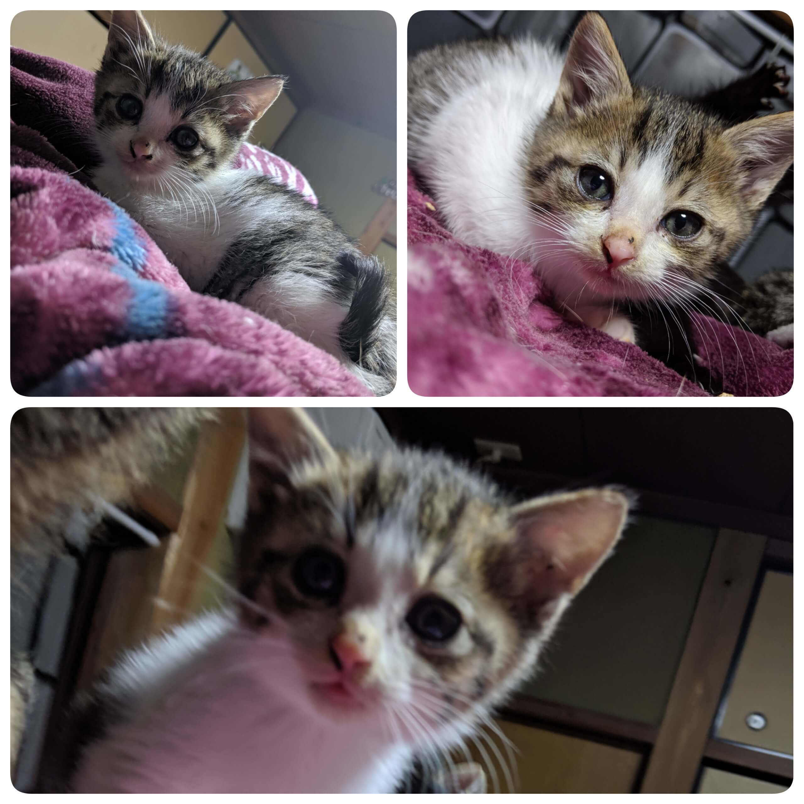 ☆お喋り上手です☆