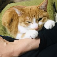 ベタベタ甘えんぼの男の子!!