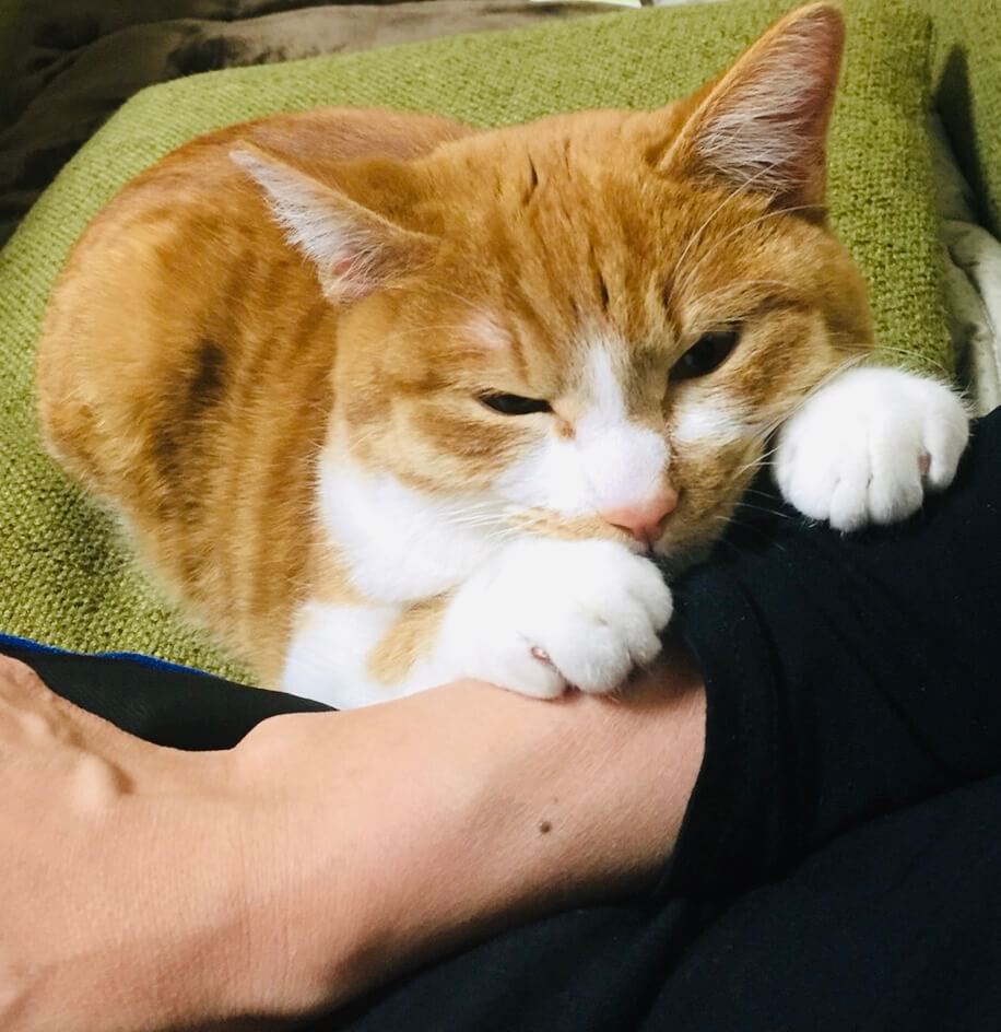 ベタベタ甘えんぼの男の子!!