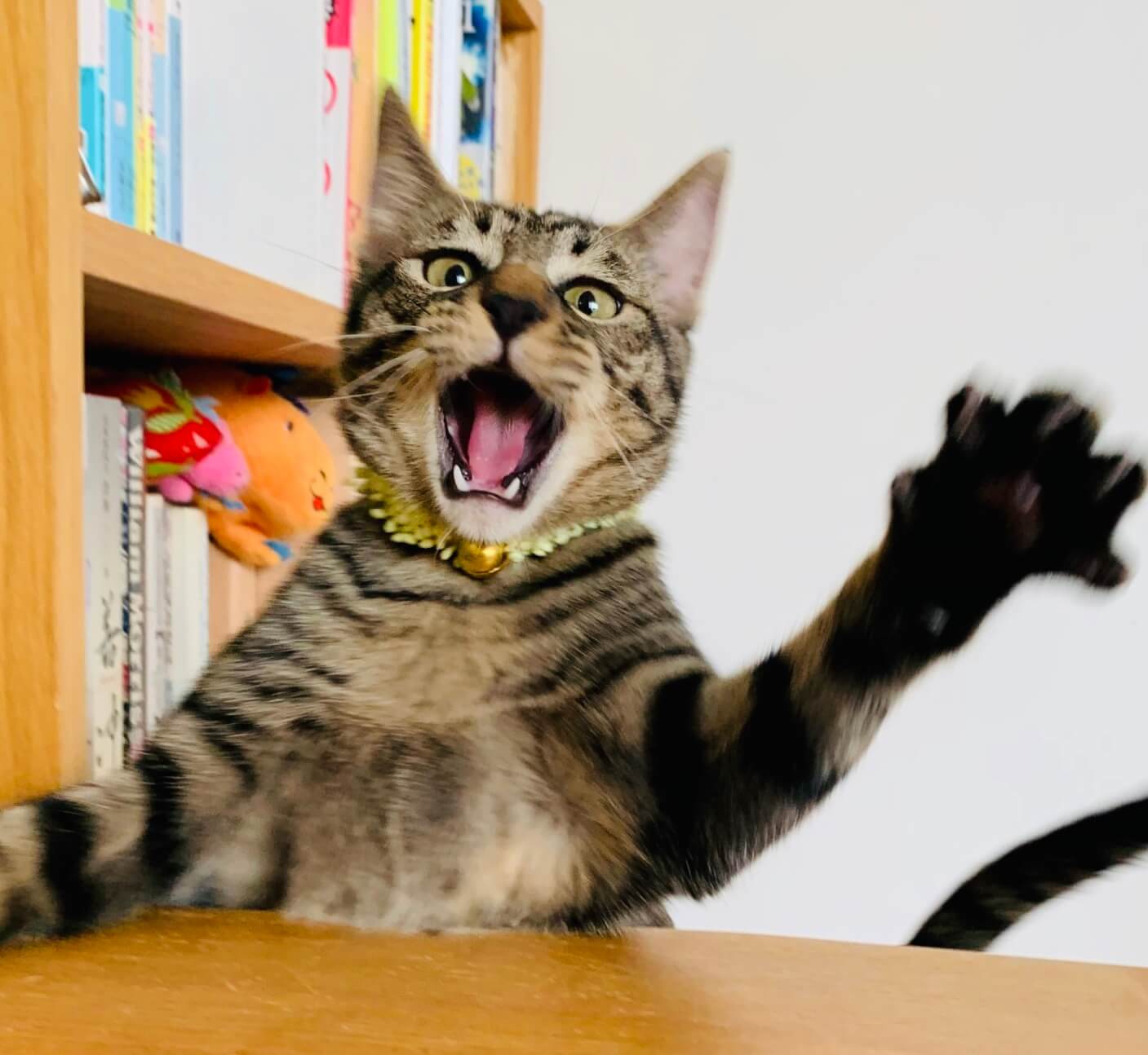 おもちゃ大好きやんちゃ坊主!!