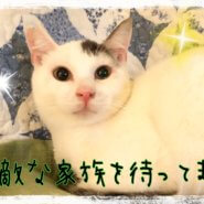 白血病だって元気やで!!