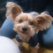 7才の女の子です(*^^*)