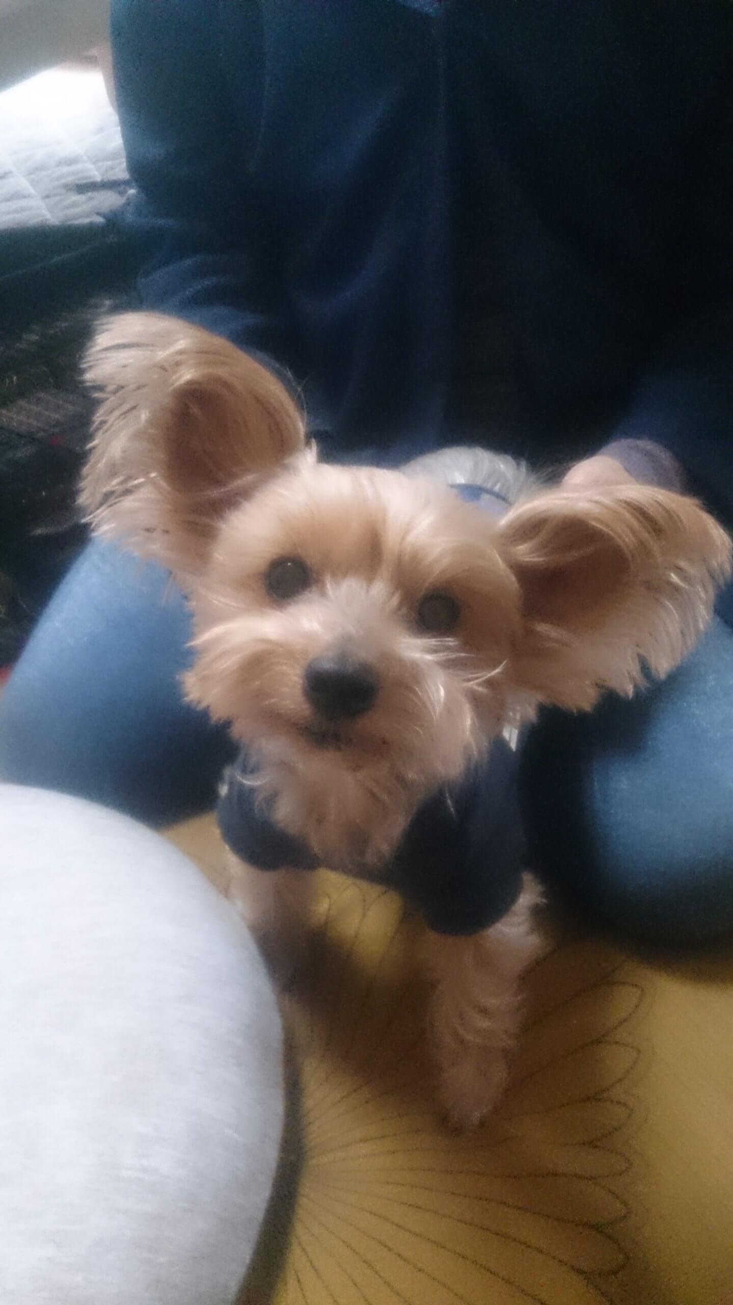 7才の女の子です(*^^*)