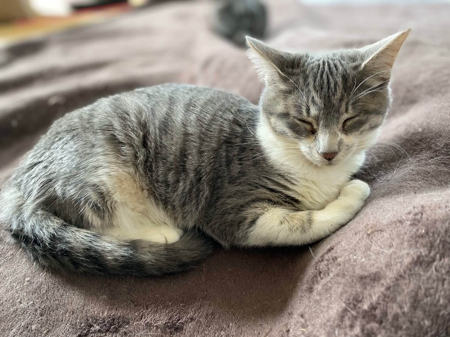 推定８ヶ月政宗くん♂好奇心旺盛♪