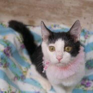 生後４か月のよく甘えるアネモネちゃん