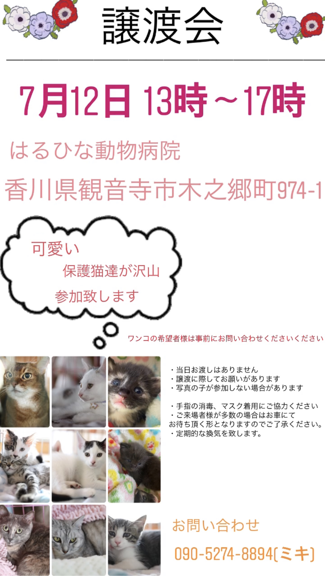 譲渡会開催致します