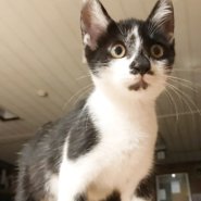 とても人なつっこくて♥おりこうさんな男の子