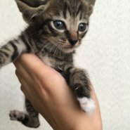 生後２ヶ月前後の子