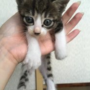 生後２ヶ月前後の子