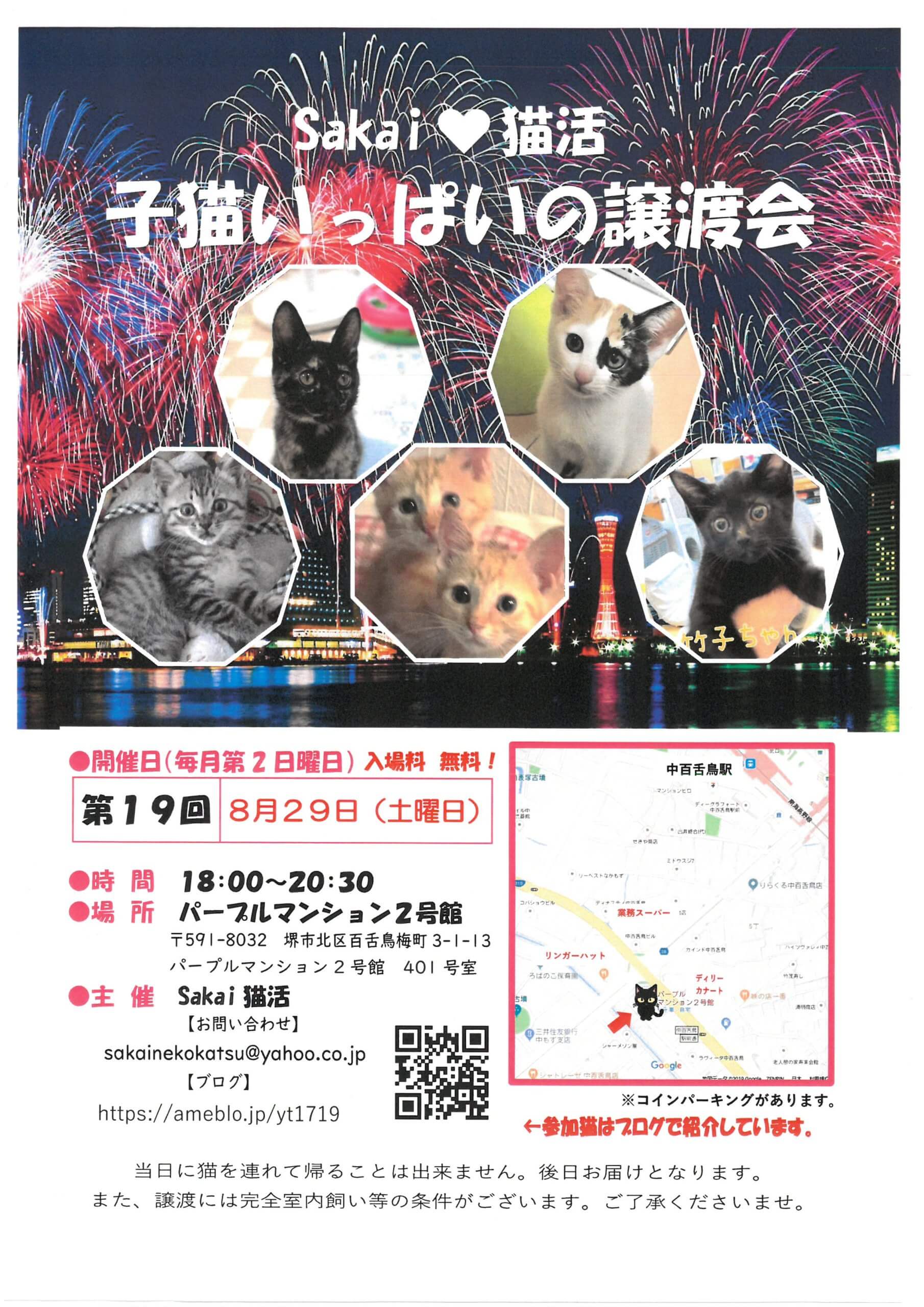 sakai猫活　子猫いっぱいの譲渡会