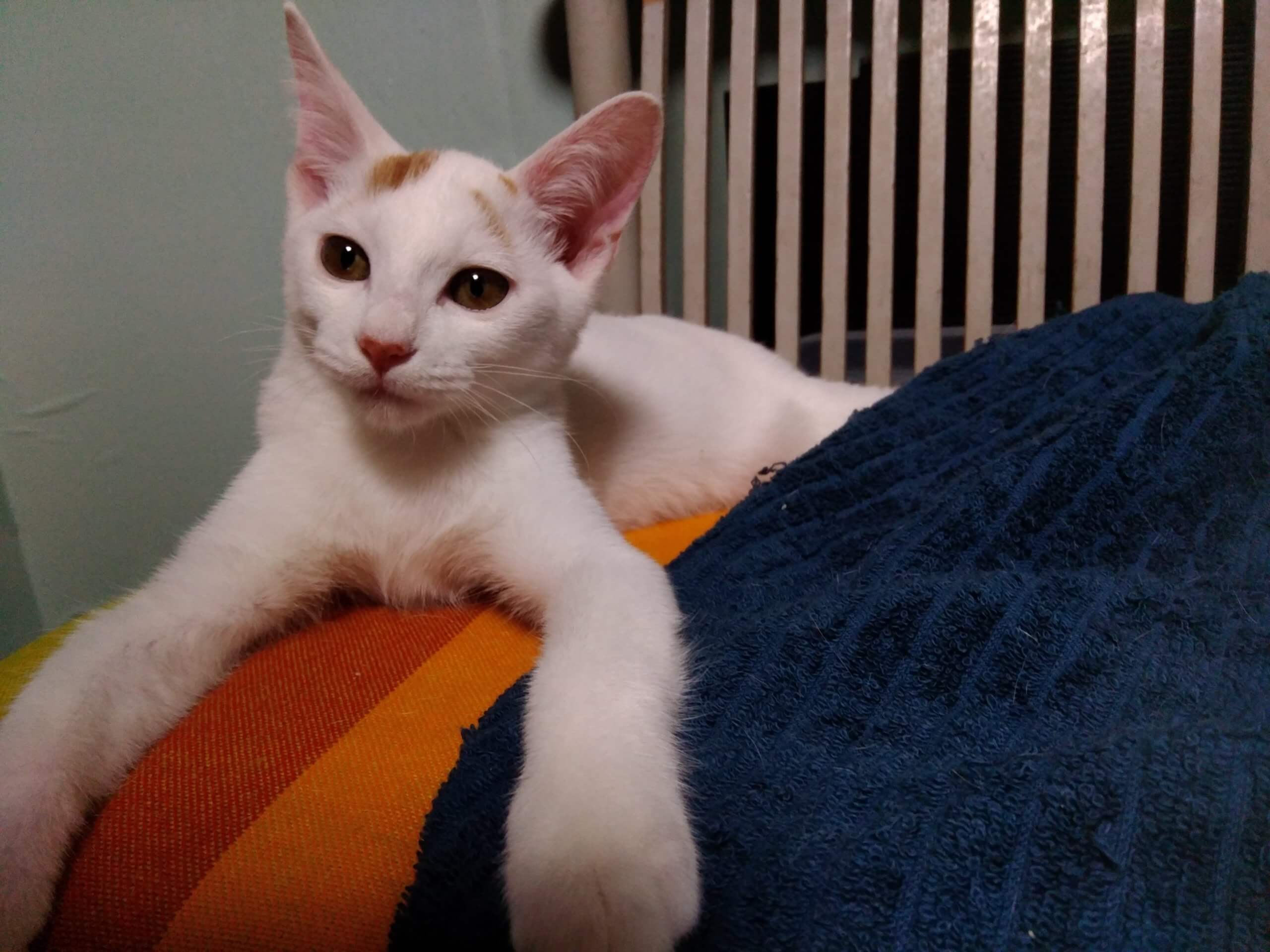 元気いっぱい!ライト君