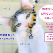 猫の譲渡会IN瀬戸～ちーむにゃいんず　８月２２日