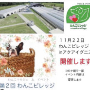 わんこビレッジ