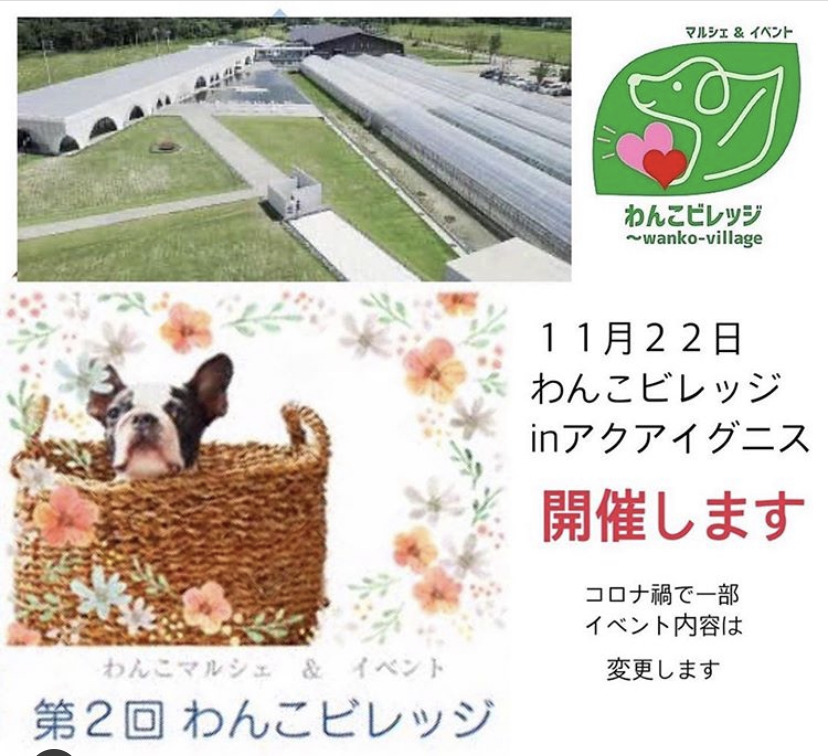 わんこビレッジ