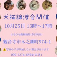 香川 犬猫譲渡会開催！