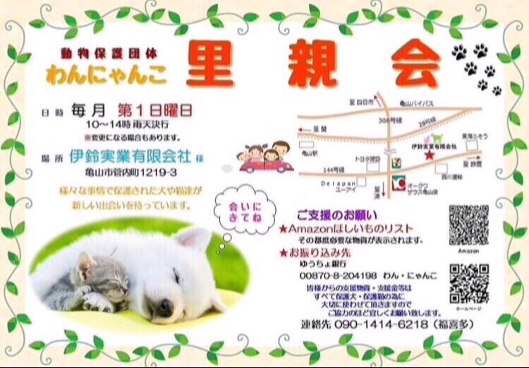 わんにゃんこ里親会