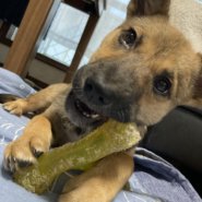 ビビリだけど、可愛さ100倍！！