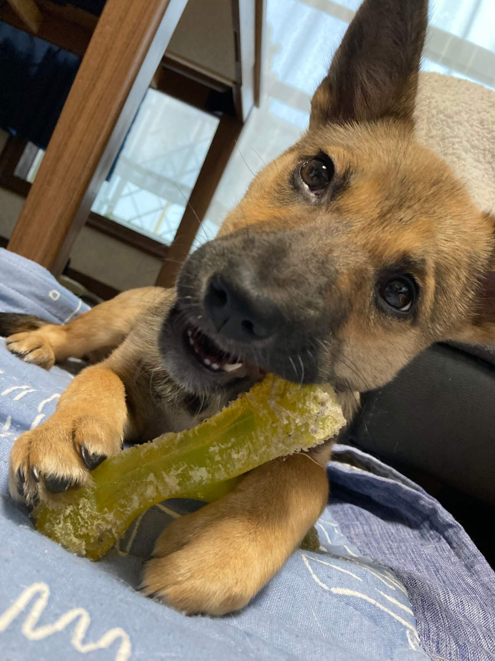 ビビリだけど、可愛さ100倍！！