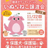 県主催 犬猫の譲渡会