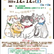 猫の譲渡会　堺上野芝