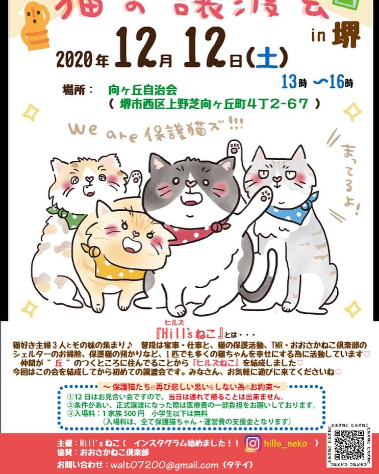 猫の譲渡会　堺上野芝