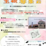 保護猫の里親募集会in大阪府泉南郡熊取町